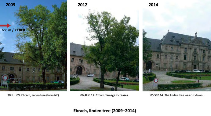 Fate of a Linden Tree exposed to cell tower frequencies -German study