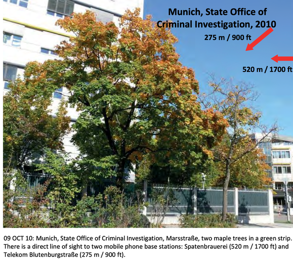 Two Maples ouside Munich State office of Criminal Investigation